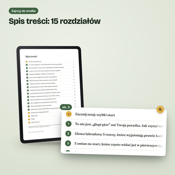 Labrador bez ciągnięcia i skakania: prawdziwa strona ze środka e-booka, s. 3