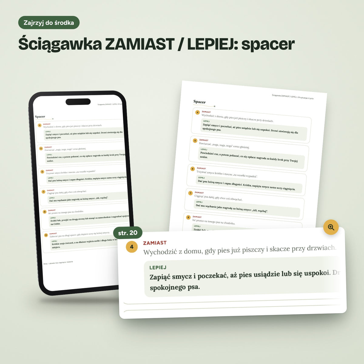 Labrador bez ciągnięcia i skakania: prawdziwa strona ze środka e-booka, s. 20